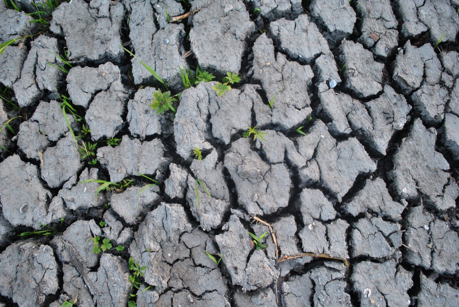 Jaką objętość wody magazynują mokradła?