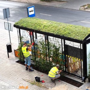 Zielone przystanki