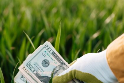 Eko-nomia i eko-logia