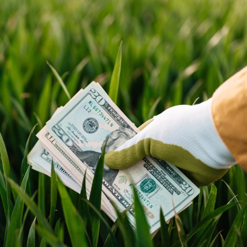 Eko-nomia i eko-logia