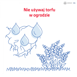Torf
