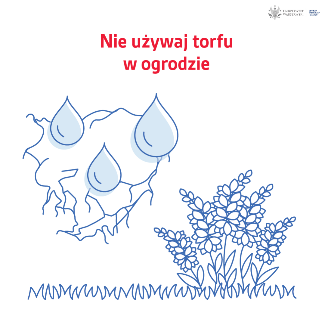 Torf