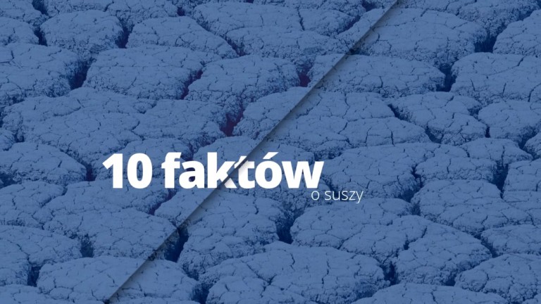 Fakty o suszy