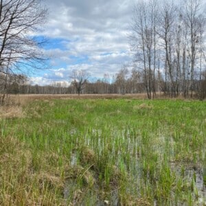 18.05-dziedzictwo-kampinos