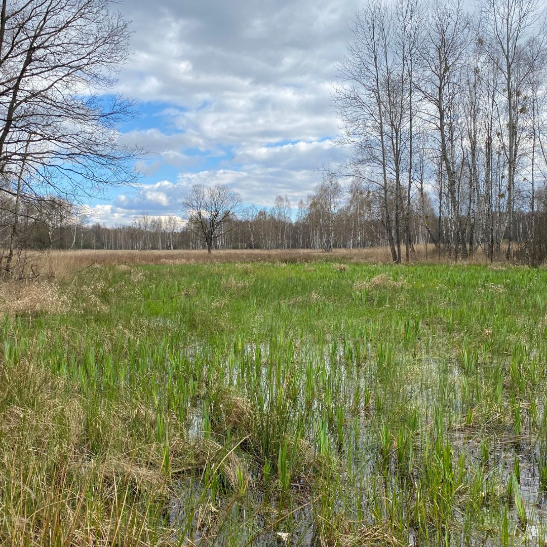 18.05-dziedzictwo-kampinos