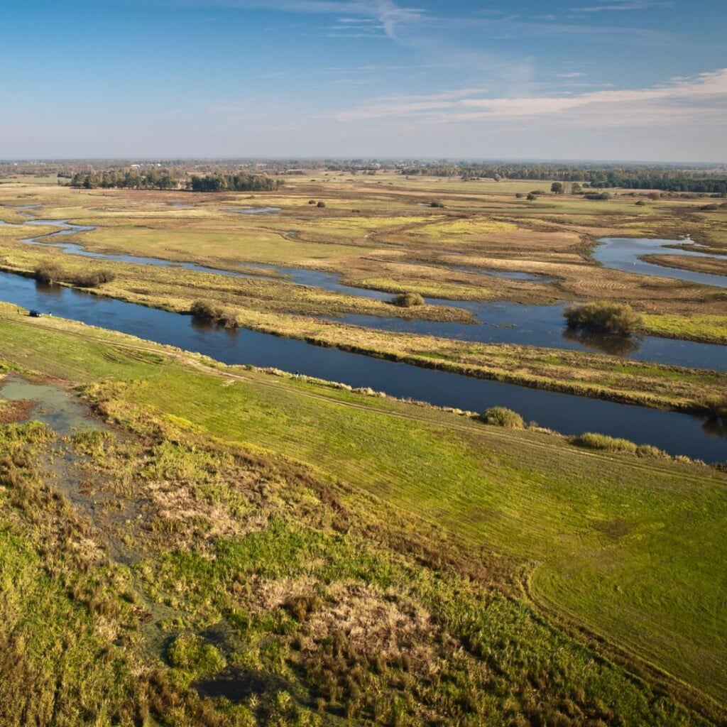 biebrza-wiosna