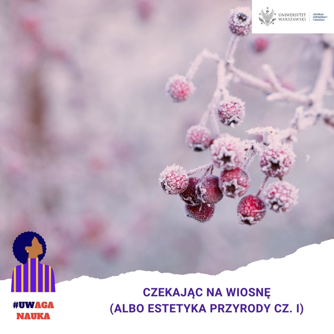 czekajac-na-wiosne-grafika-post