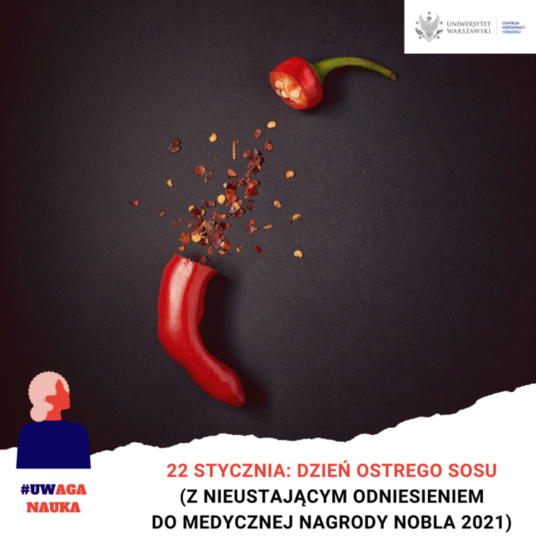 dzien_ostrego_sosu_grafika