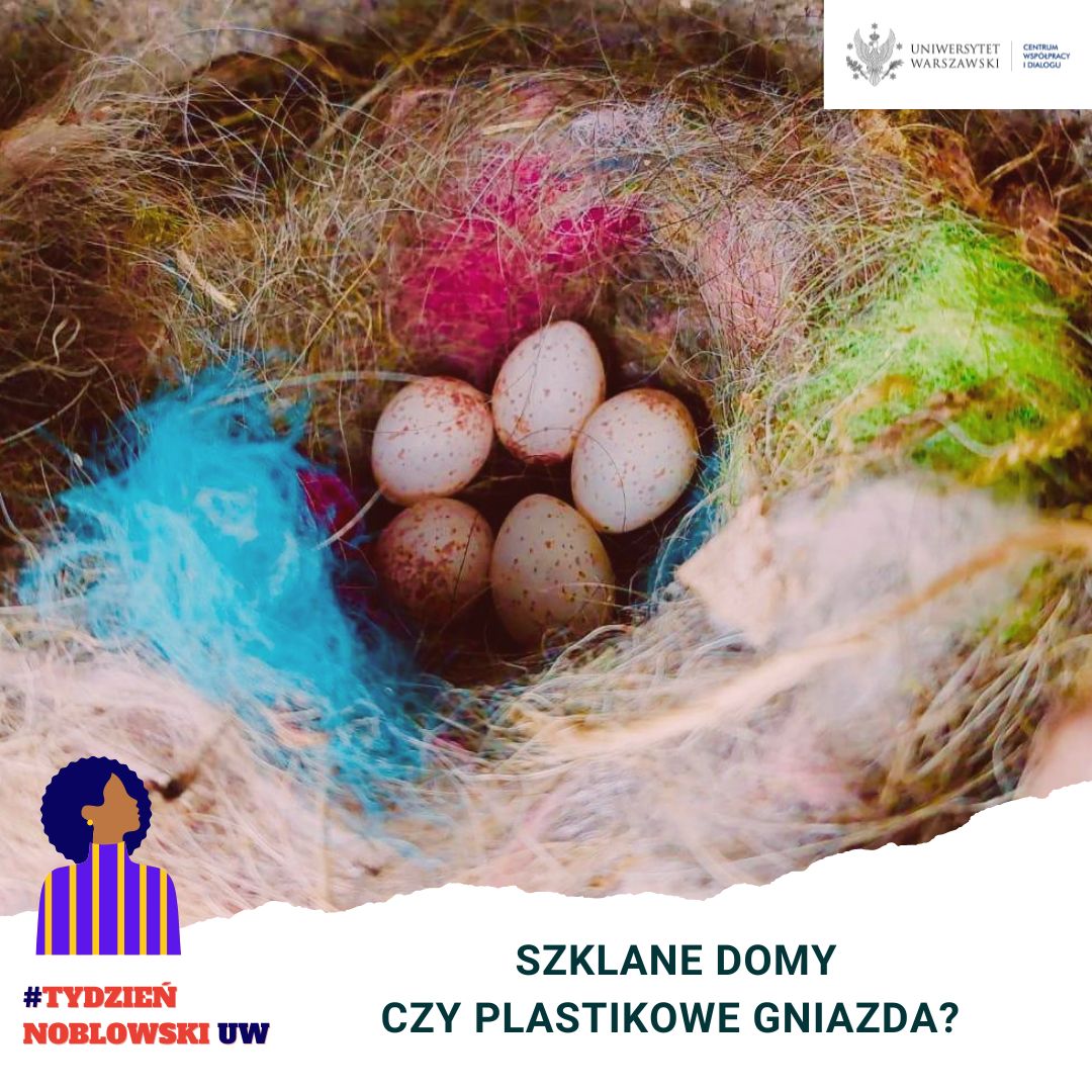 szklane_domy_czy_plastikowe_gniazda_grafika