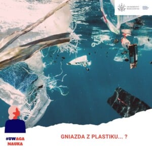 gniazda-z-plastiku-wpis