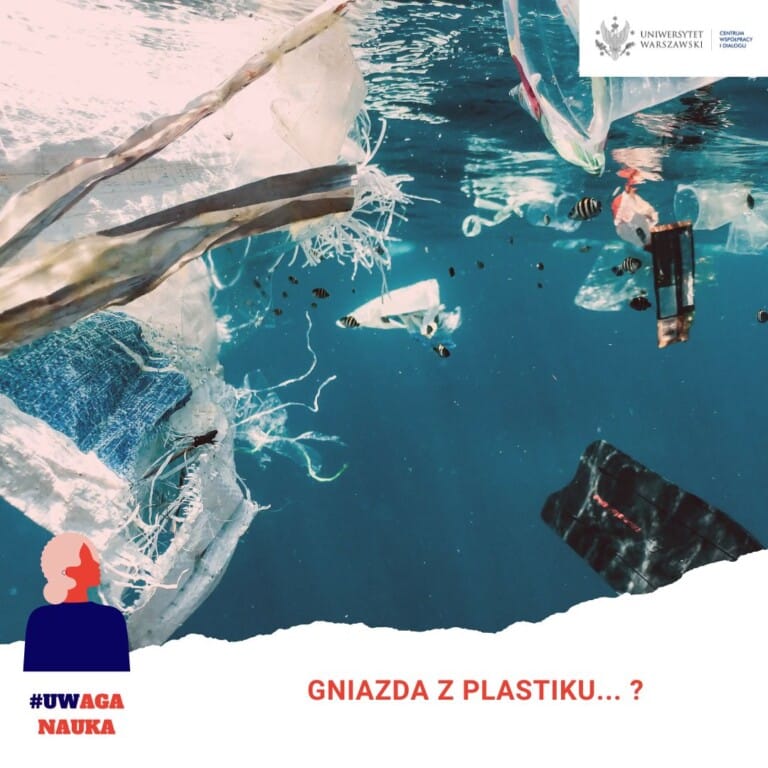 gniazda-z-plastiku-wpis