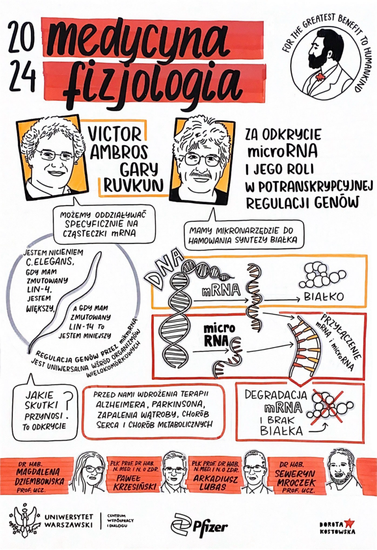 fizjologia graphic recording